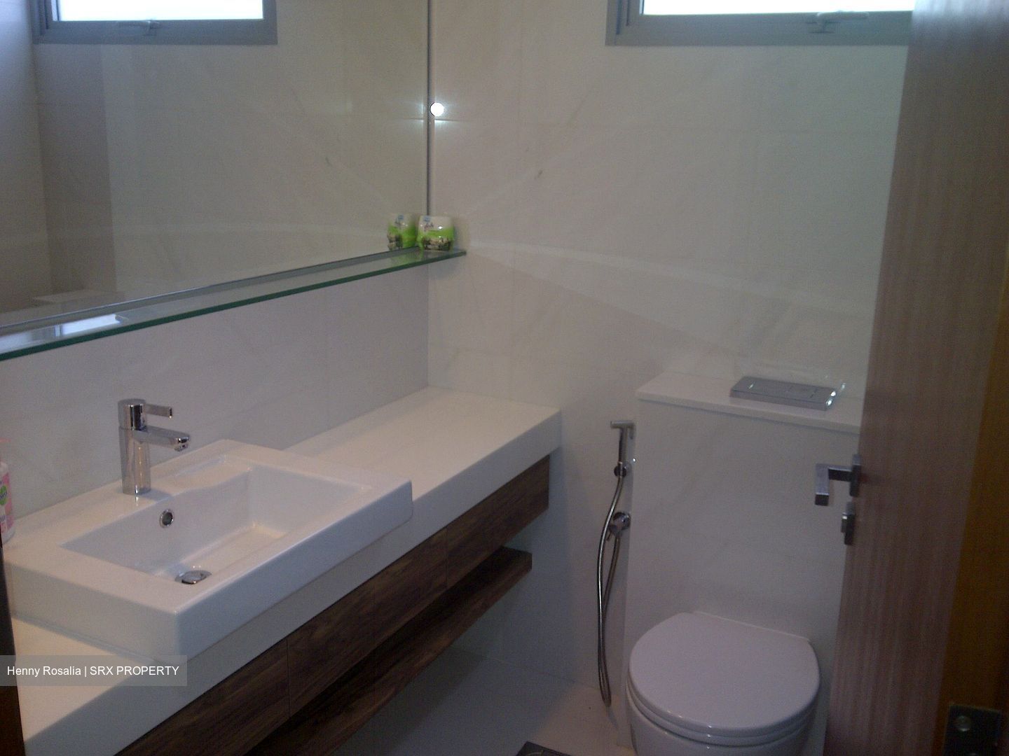 Horizon Residences (D5), Condominium #578614891